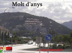 22261-bosc-de-faroles-i-casetes-de-carboner.JPG, 66 KB