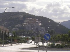 bosc-de-faroles-i-casetes-de-carboner.JPG, 58 KB