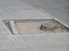 davant xino.JPG, 35 KB