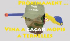 mopis_ternelles.jpg, 27 KB