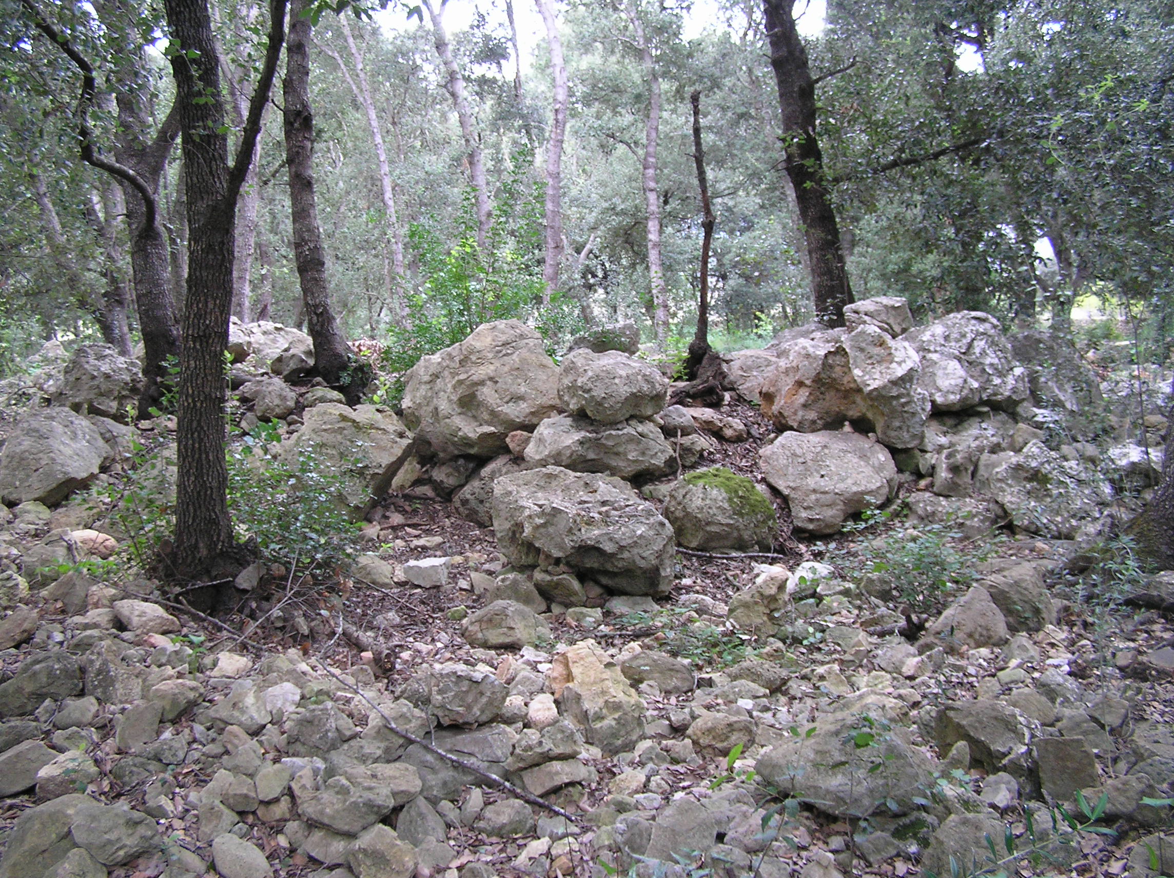 pedres 035.jpg, 861 KB