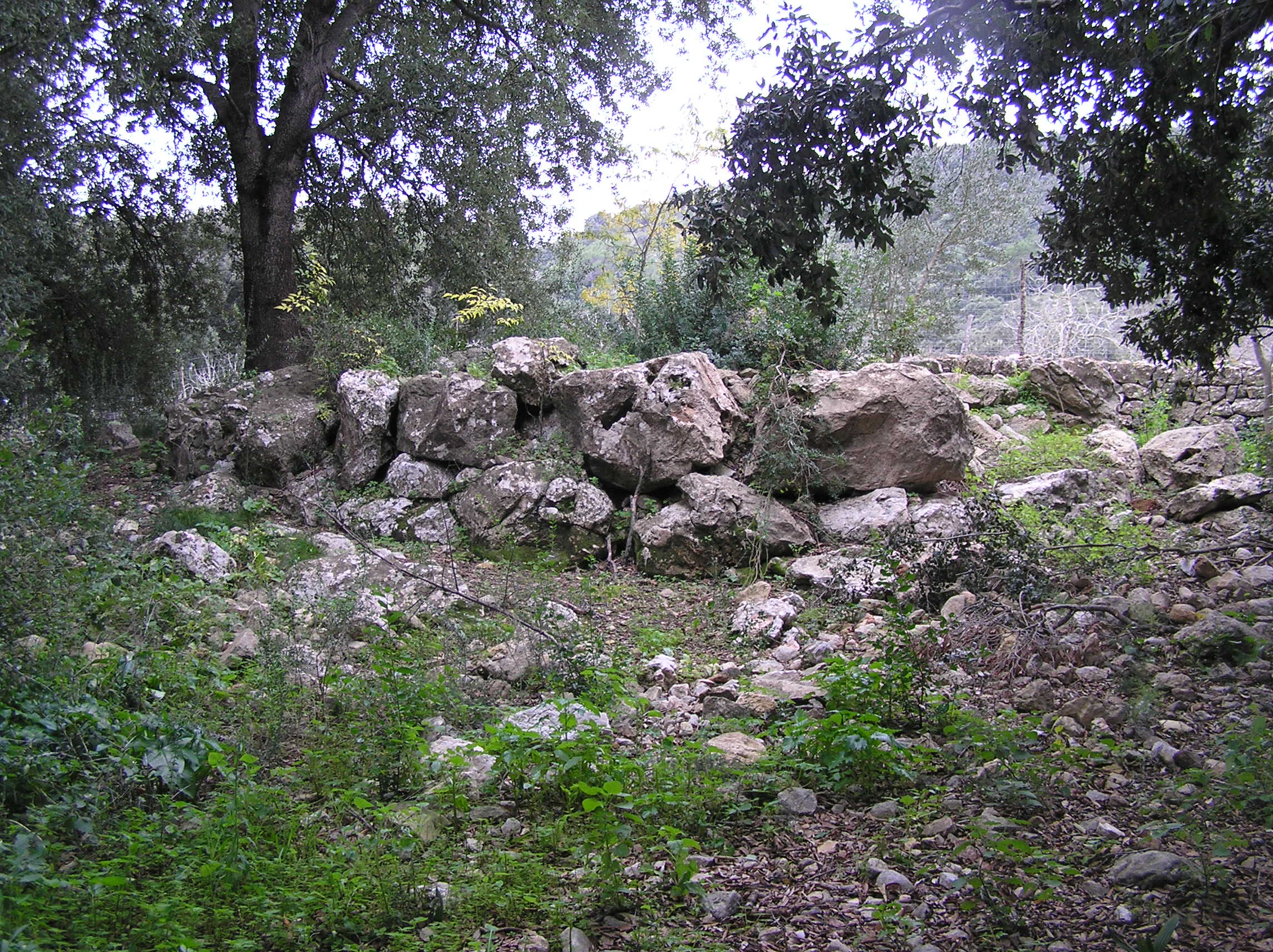 pedres 038.jpg,  bytes