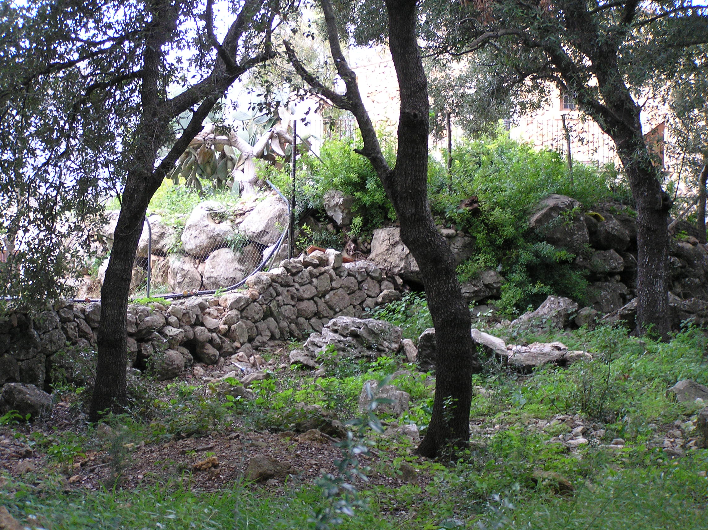 pedres 039.jpg, 898 KB