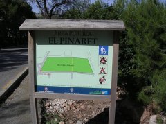 pinaretint.JPG, 87 KB