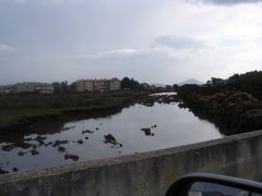 zona humida.JPG, 39 KB